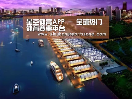 案例展示八