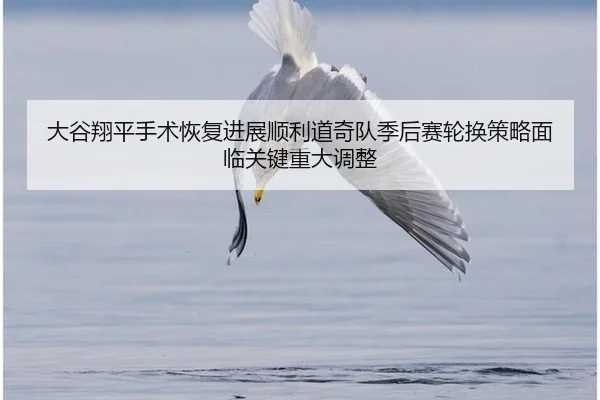 大谷翔平手术恢复进展顺利道奇队季后赛轮换策略面临关键重大调整