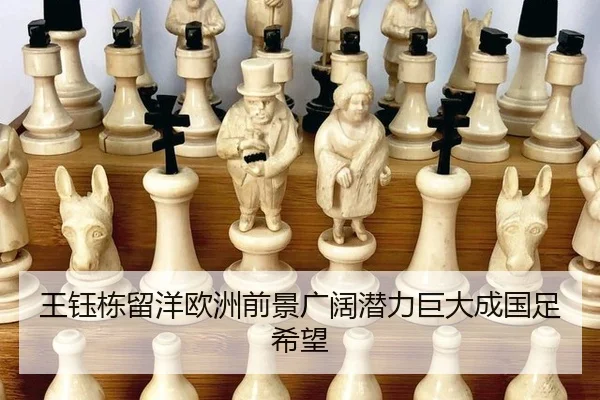 wang-yu-dong-liu-yang-ou-zhou-qian-jing-guang-kuo-qian-li-ju-da-cheng-guo-zu-xi-wang-2-482.jpg