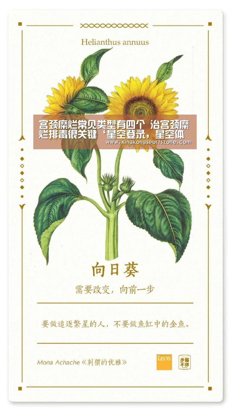 星空登录，星空体育，星空APP，星空竞猜